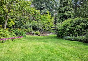 Optimiser l'expérience du jardin à Castillon-en-Couserans